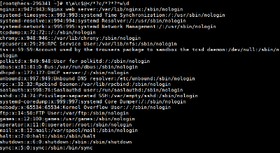 cat /etc/passwd 变种可绕waf